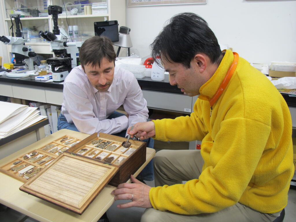 Ботанический проект барнаульских ученых получил финансовую поддержку РФФИ и Японского общества продвижения науки