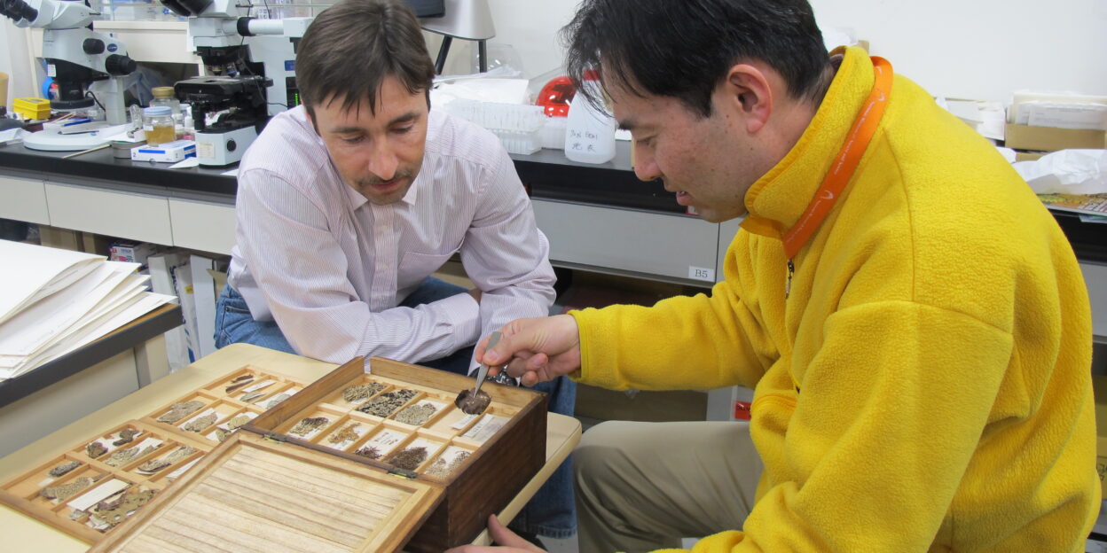 Ботанический проект барнаульских ученых получил финансовую поддержку РФФИ и Японского общества продвижения науки