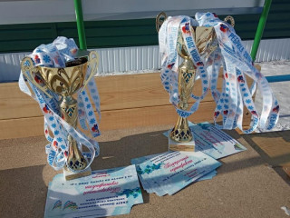 В Алтайском крае определили победителей зимней Олимпиады сельских спортсменов