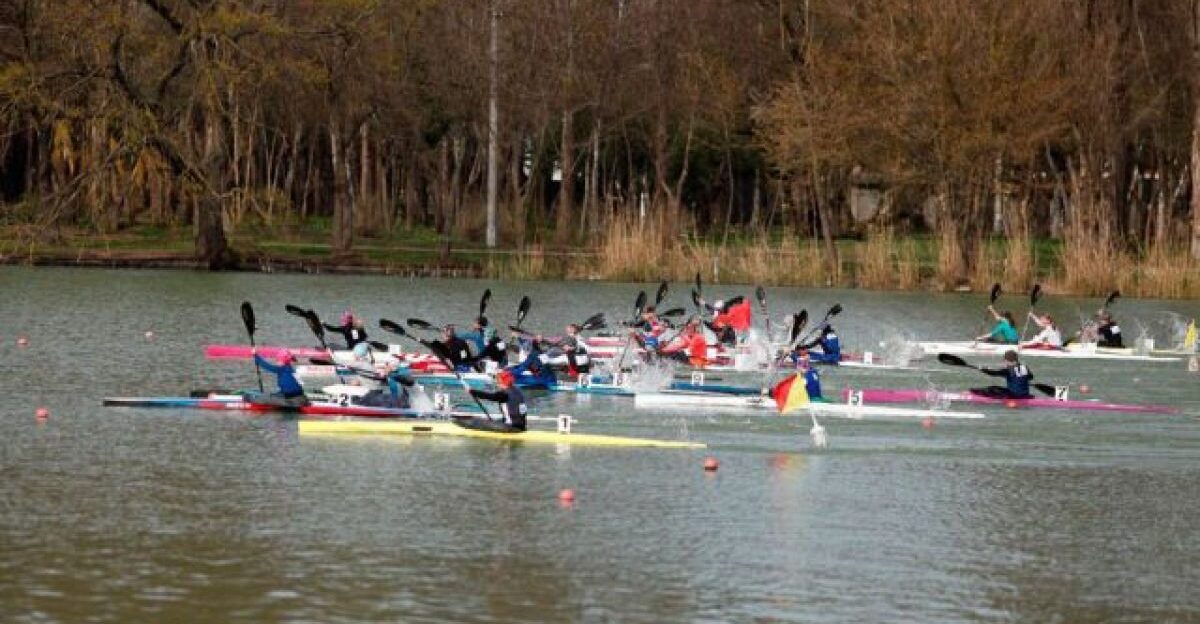 Взрослые и юные гребцы Алтайского края – призёры всероссийских соревнований в Краснодаре