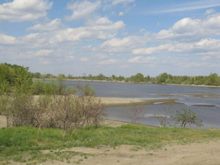 Более 120 жителей столицы Алтайского края стали участниками традиционной экологической акции «Чистая Обь»