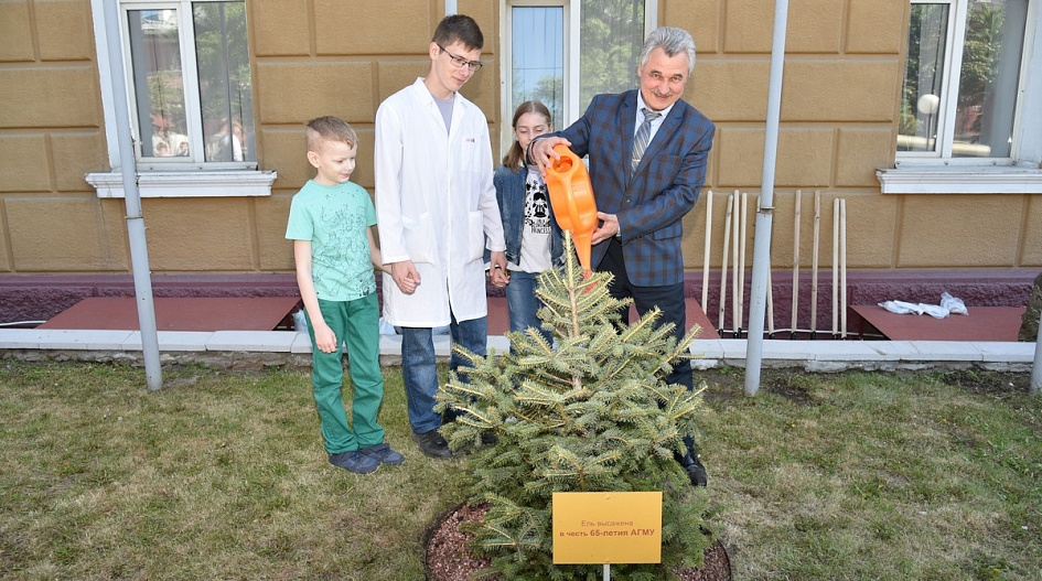 В Барнауле заложили можжевеловую аллею «Наше будущее»