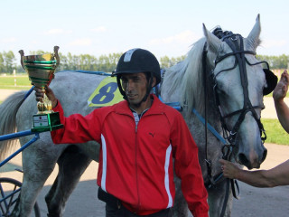 Смотр орловских рысаков устроят во время фестиваля «АлтайФест»