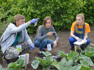 Участники Всероссийского слета «АгроСтарт» в Алтайском крае прошли практические испытания