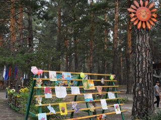 В алтайском загородном лагере «Соснячок» открылась специализированная смена для детей