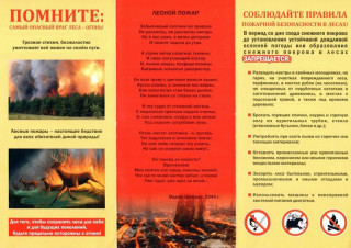 Министерство природных ресурсов и экологии Алтайского края напоминает охотникам правила пожарной безопасности