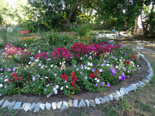 Экологическую тропу сформировали педагоги и воспитанники детского сада в селе Гальбштадт в Алтайском крае
