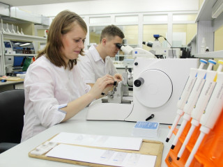 В Алтайском крае разработали препарат для повышения умственной и физической работоспособности