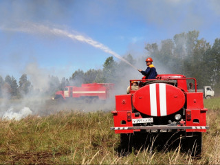 За счет средств нацпроекта «Экология» в Алтайском крае увеличится парк специализированной лесопожарной и лесохозяйственной техники
