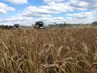 Новые мехток и сушилка помогут предприятию в Залесовском районе Алтайского края сохранить урожай