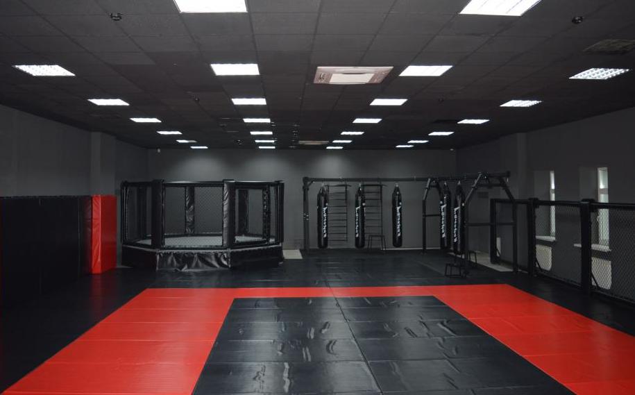 В Барнауле построят Центр смешанных единоборств по договору концессии. Подробности проекта