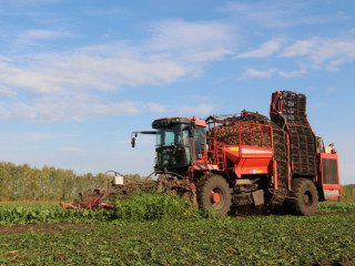 Аграрии Алтайского края получили рекордный урожай сахарной свеклы
