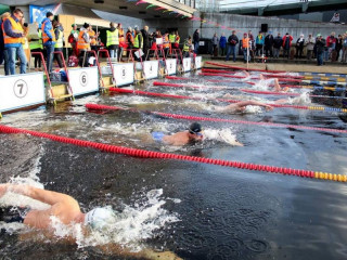 13 медалей завоевали алтайские спортсмены на первом этапе Кубка мира по зимнему плаванию