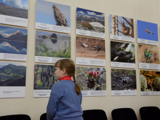 Лучшие работы участников международного фотоконкурса «Живая природа Алтая – 2019» представят в Барнауле