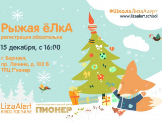 На новогодний праздник «Рыжая Елка» приглашает детей и взрослых Алтайское отделение поисково-спасательного отряда «Лиза Алерт»