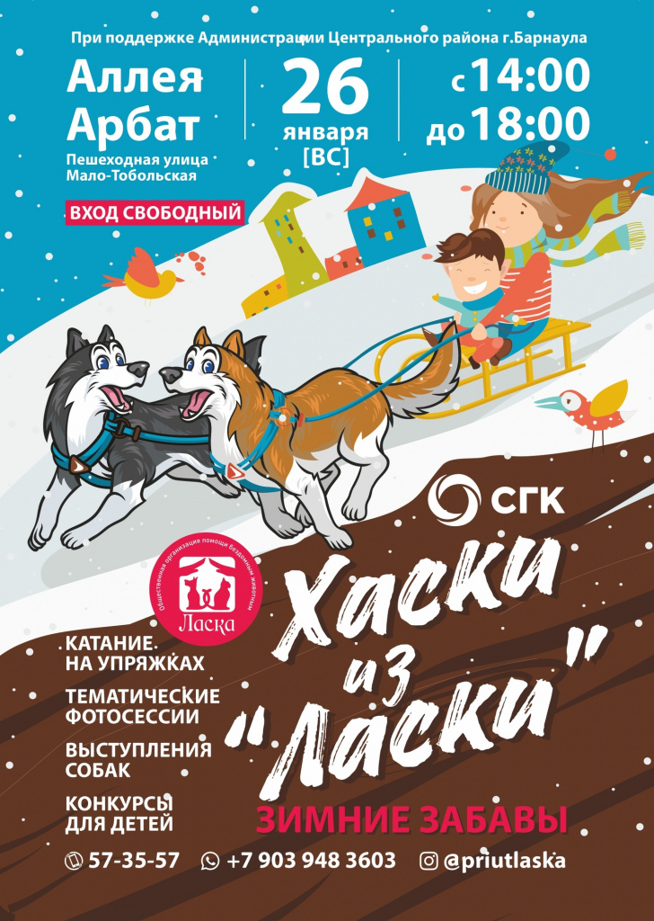 Зимние забавы «Хаски из Ласки» с собаками из приюта устроят на улице Мало-Тобольской в Барнауле
