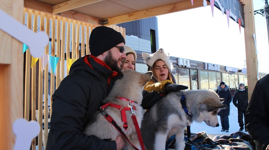 Более тысячи барнаульцев посетили праздник с хаски на улице Мало-Тобольской