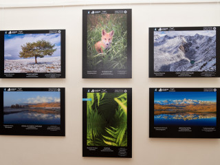 В Барнауле подведут итоги международного конкурса фотографий «Живая природа Алтая – 2019»