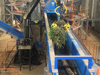 Более трех тысяч новогодних елей утилизируют на деревообрабатывающем комбинате в Алтайском крае