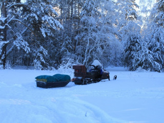 Сотрудники лесных предприятий Алтайского края устанавливают дополнительные кормушки для лесных животных в борах региона