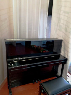 В Алтайский край начались поставки музыкальных инструментов для детских школ искусств в рамках нацпроекта «Культура»