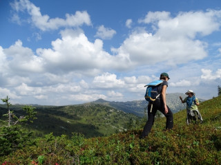 Единственный заповедник Алтайского края приглашает волонтеров на лето