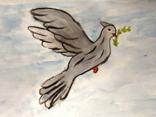 Юные жители Алтайского края – в числе победителей Всероссийского конкурса «Голубь мира»