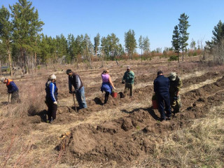 Алтайский край присоединился к Международной акции «Сад памяти»
