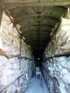 Более четырех тысяч тонн устаревших пестицидов утилизируют в Алтайском крае