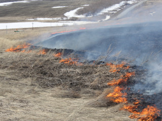 В Шелаболихинском районе Алтайского края пожароопасную обстановку контролируют с воздуха