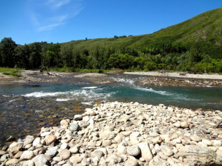 В Алтайском крае готовят новую экологическую тропу в Чинетинском заказнике