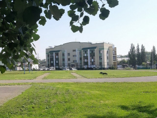 В Барнауле реконструируют школьный стадион на средства гранта конкурса «Молодежный бюджет»