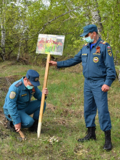 В ЗАТО Сибирский в Алтайском крае создали аллею в рамках проекта «Сад памяти»