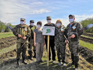 В Алтайском крае в рамках акции «Сад памяти» высадили 600 молодых сосен в Волчихинском районе