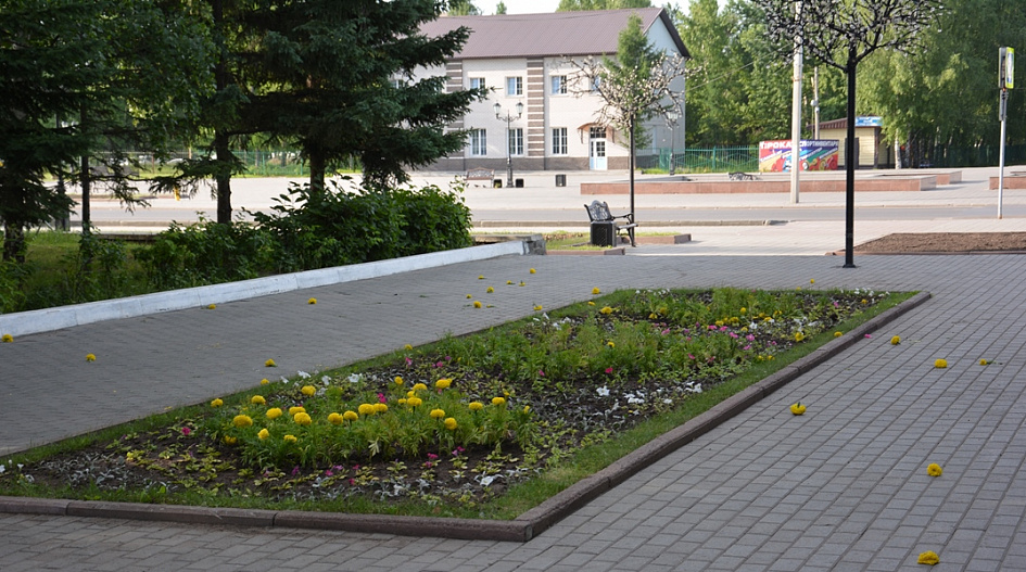 Хулиганы устроили погром на площади Мира в Барнауле