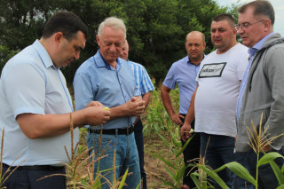 Федеральный центр держит на контроле ситуацию с засухой в Алтайском крае