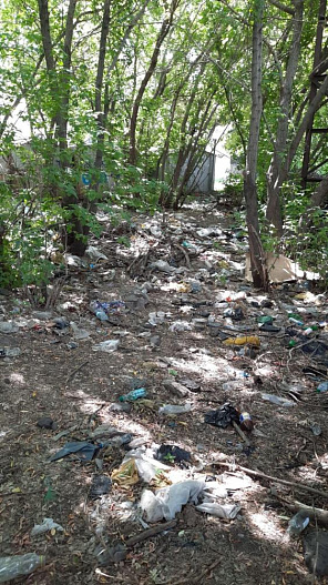 В Барнауле волонтёры убрали свалку мусора под мостом рядом с Новым рынком