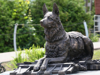 Два музея Алтайского края присоединятся к Всероссийской акции «День фронтовой собаки»