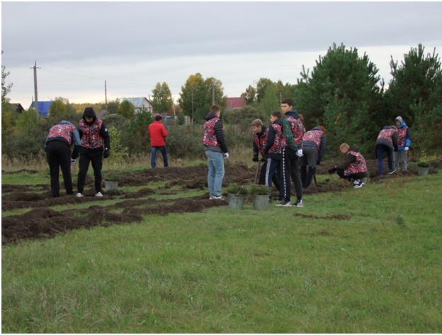 Профессиональные образовательные организации Бийского образовательного округа приняли участие во Всероссийской акции «ЛЕС ПОБЕДЫ»