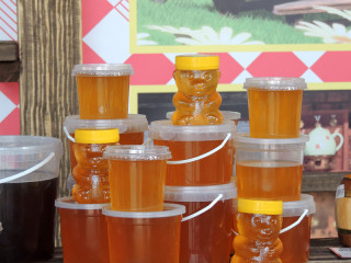 Около 40 тонн меда и пчелопродукции продали на ярмарке в Барнауле