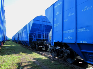 Еще 30 вагонов для перевозки зерна приобрело крупнейшее зерноперерабатывающее предприятие Алтайского края