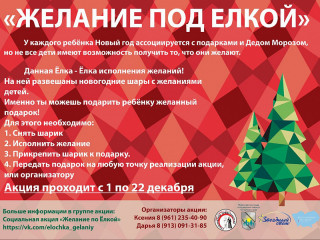 В Алтайском крае завершают сбор подарков для детей в рамках новогодней акции «Желание под елкой»