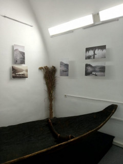 В Алтайском краеведческом музее презентуют новый проект «Сила движения»