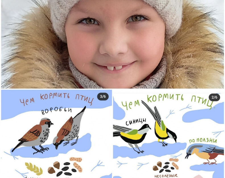 В Барнауле подвели итоги окружной природоохранной акции по подкармливанию птиц зимой