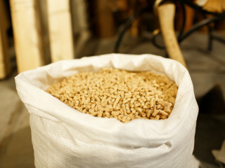 Более 150 миллионов рублей направила алтайская компания на содержание системы охраны от пожаров и восстановление лесов