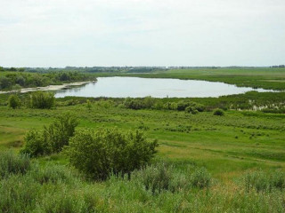 Границы четырех памятников природы в Алтайском крае внесли в Единый государственный реестр недвижимости