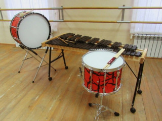 Шесть детских школ искусств Алтайского края получат новые музыкальные инструменты