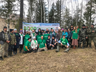 Проект «Возродим леса Алтая»: в Чарышском районе волонтеры и лесоводы этой весной высадят 8000 саженцев кедра и лиственницы