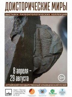 Около 200 уникальных экспонатов представят в Алтайском государственном краеведческом музее на выставке по палеонтологии