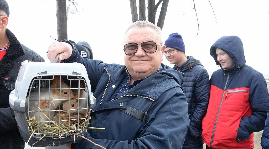 В Нагорном парке Барнаула появились белки